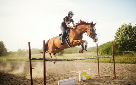 młoda kobieta na koniu skacząca przez płotki